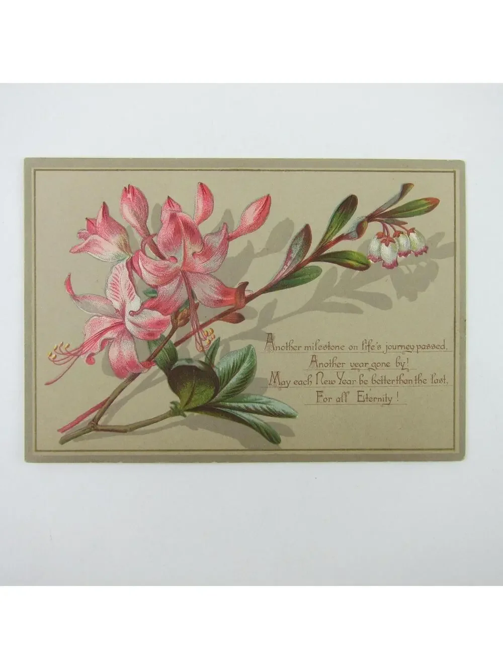 Victorian Greeting Card New Years White & Pink Azalea Flowers Branch Antique